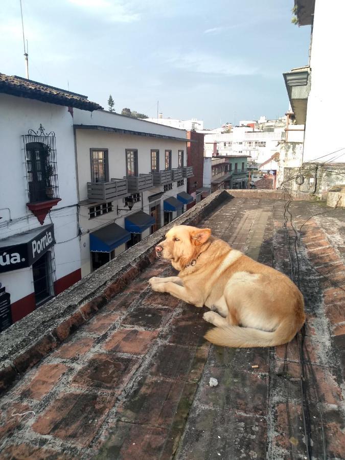 Hostal 50 Xalapa Exteriér fotografie